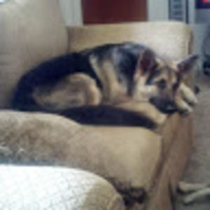 Meet your Posher, Reesa